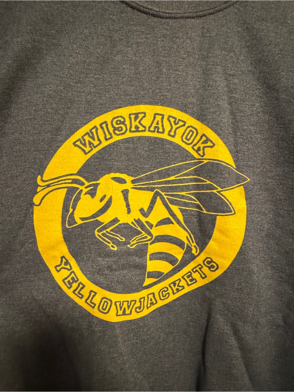 Yellowjackets Heather Blue & Yellow Sweatshirt HALLOWEEN COSTUME